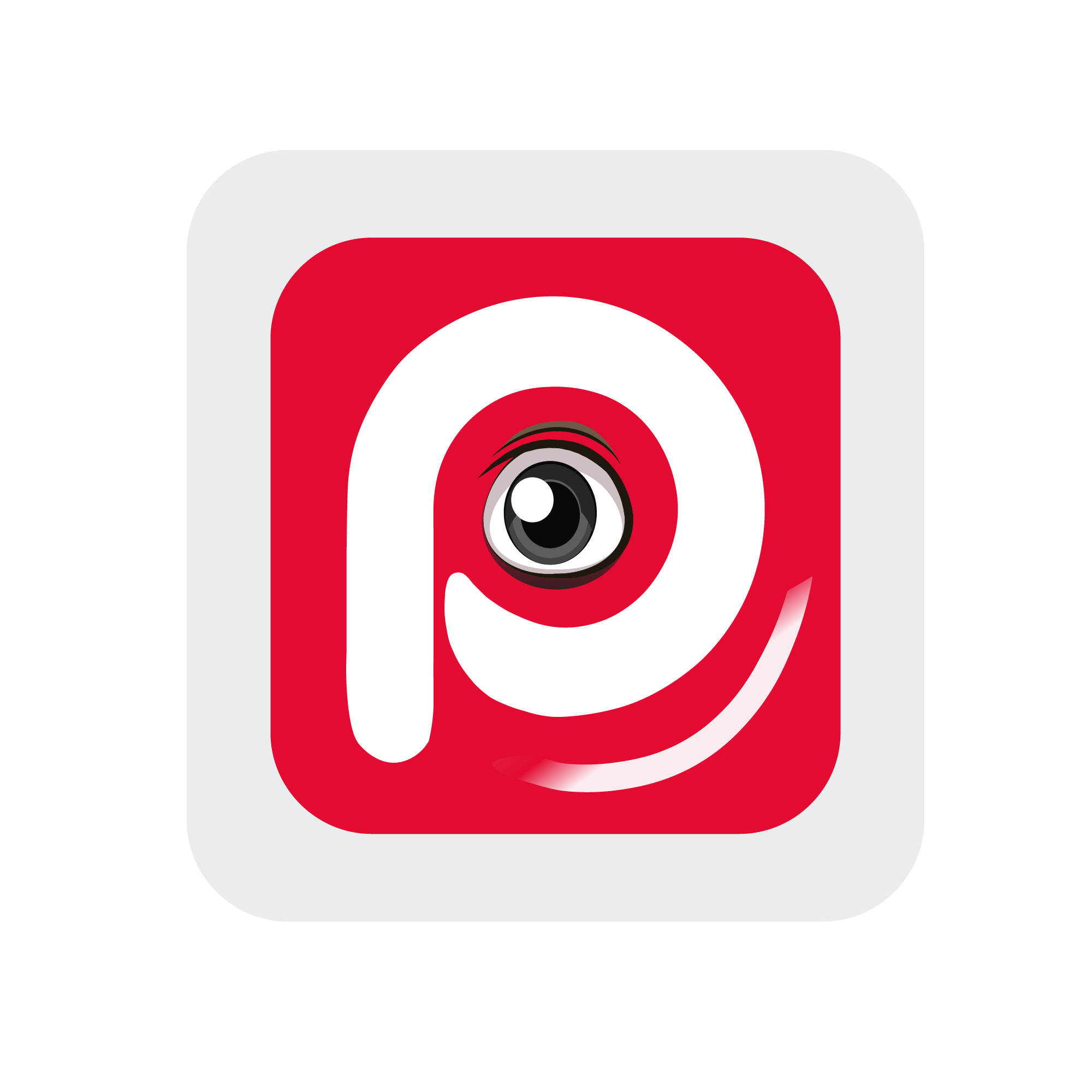 Pet In Touch logo